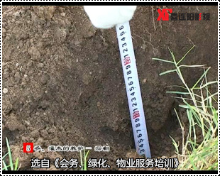 物業(yè)服務(wù)培訓二十集